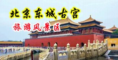 黄片不用下载少萝中国北京-东城古宫旅游风景区